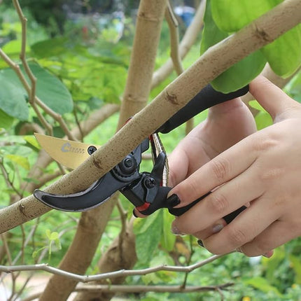 Buyohlic International 8'' Inches Shears for Gardening, Garden Hand Shears Scissors , Professional Bypass Pruner Garden Clippers