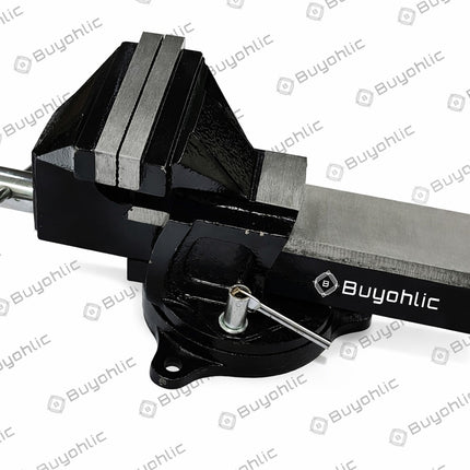 SG Iron Standard Vice~ Fixed & Removable Swivel Base